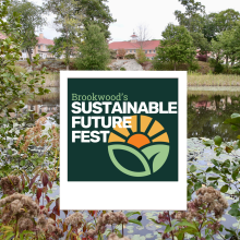 Sustainable Future Fest: Vendors & Volunteers Needed!