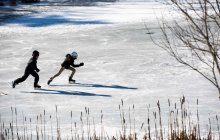 Cutler Pond Update